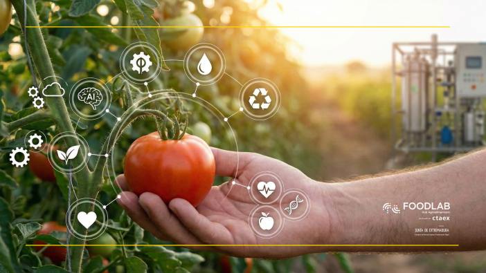 Los retos que hoy condicionan el desarrollo de productos agroalimentarios