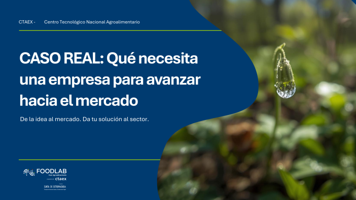 CASO REAL: Qué necesita una empresa para avanzar hacia el mercado con menos riesgo