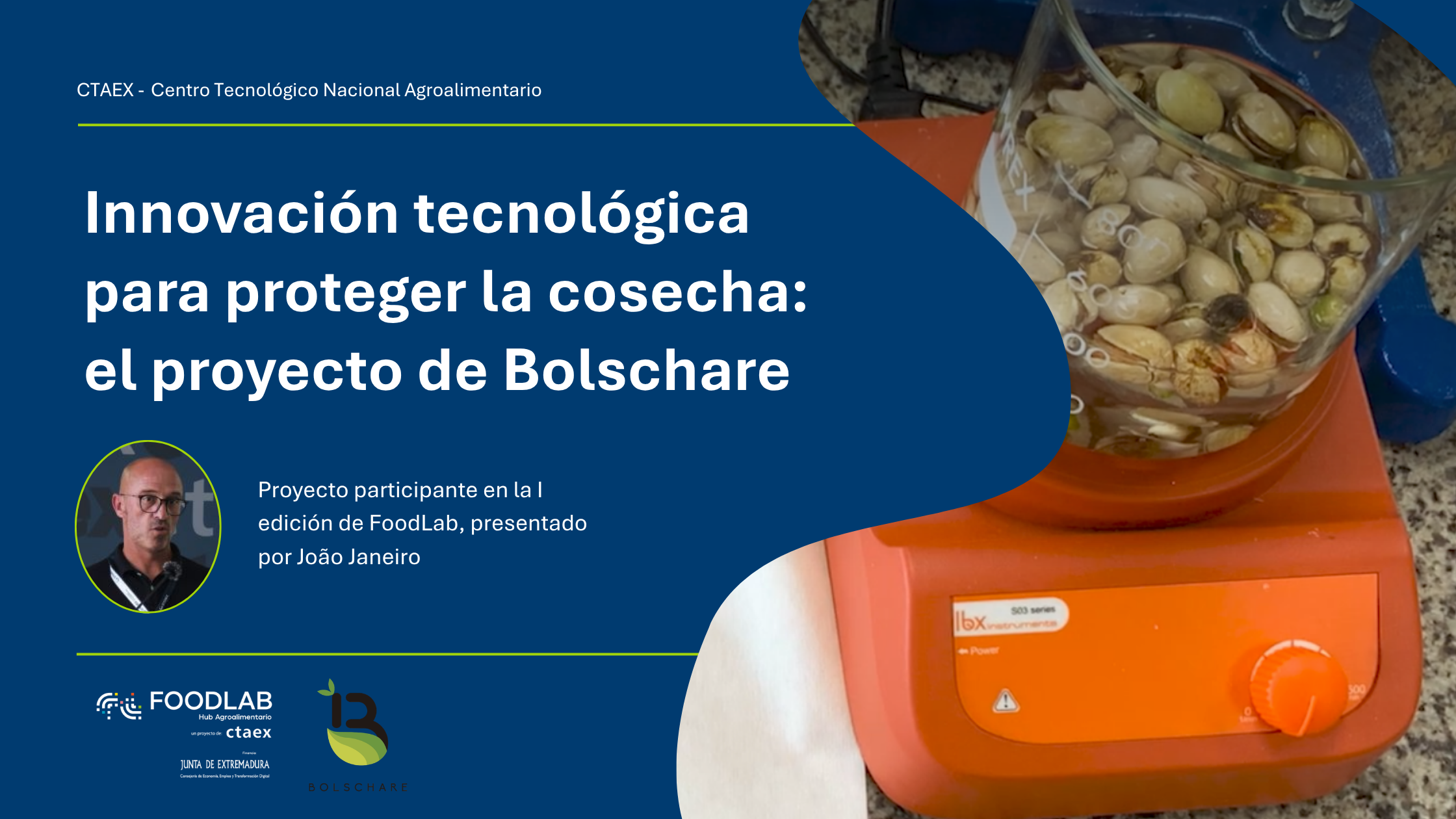 Innovación tecnológica para proteger la cosecha: investigan cómo salvar lotes de pistacho descartados por aflatoxinas