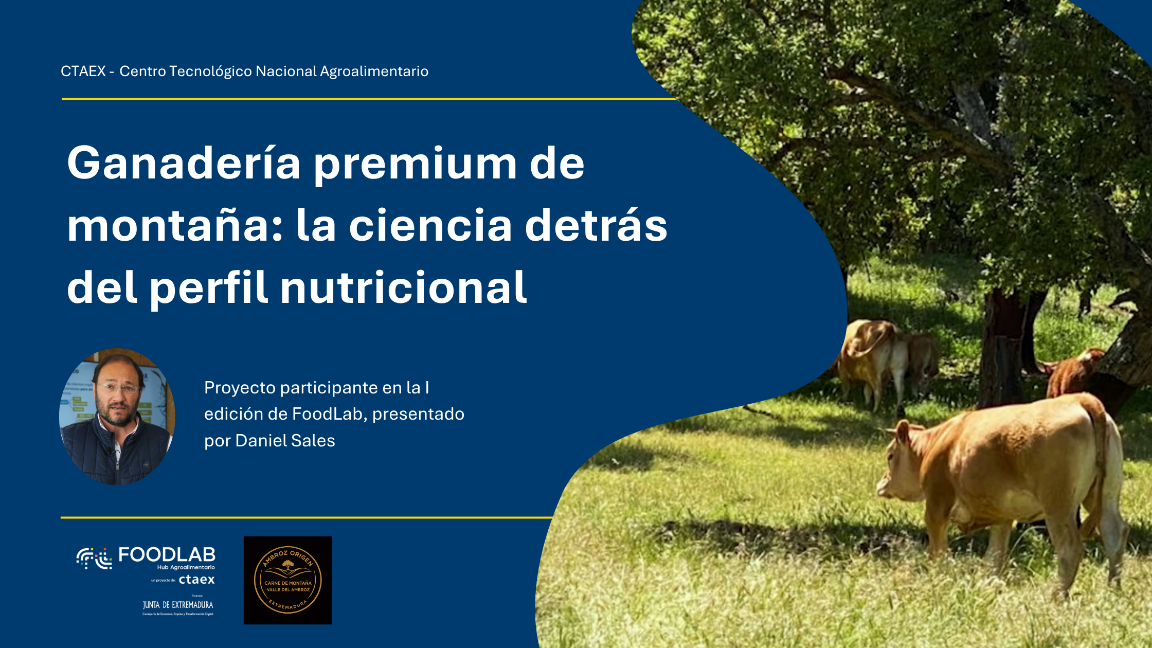 Ganadería premium de montaña: la ciencia tras el perfil nutricional de la carne