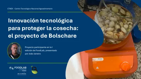 Innovación tecnológica para proteger la cosecha: investigan cómo salvar lotes de pistacho descartados por aflatoxinas