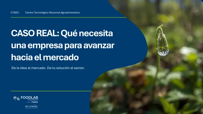 CASO REAL: Qué necesita una empresa para avanzar hacia el mercado con menos riesgo