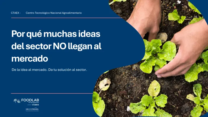 Por qué muchas ideas del sector agroalimentario no llegan al mercado (y cómo afrontarlo)