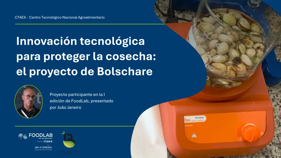 Innovación tecnológica para proteger la cosecha: investigan cómo salvar lotes de pistacho descartados por aflatoxinas